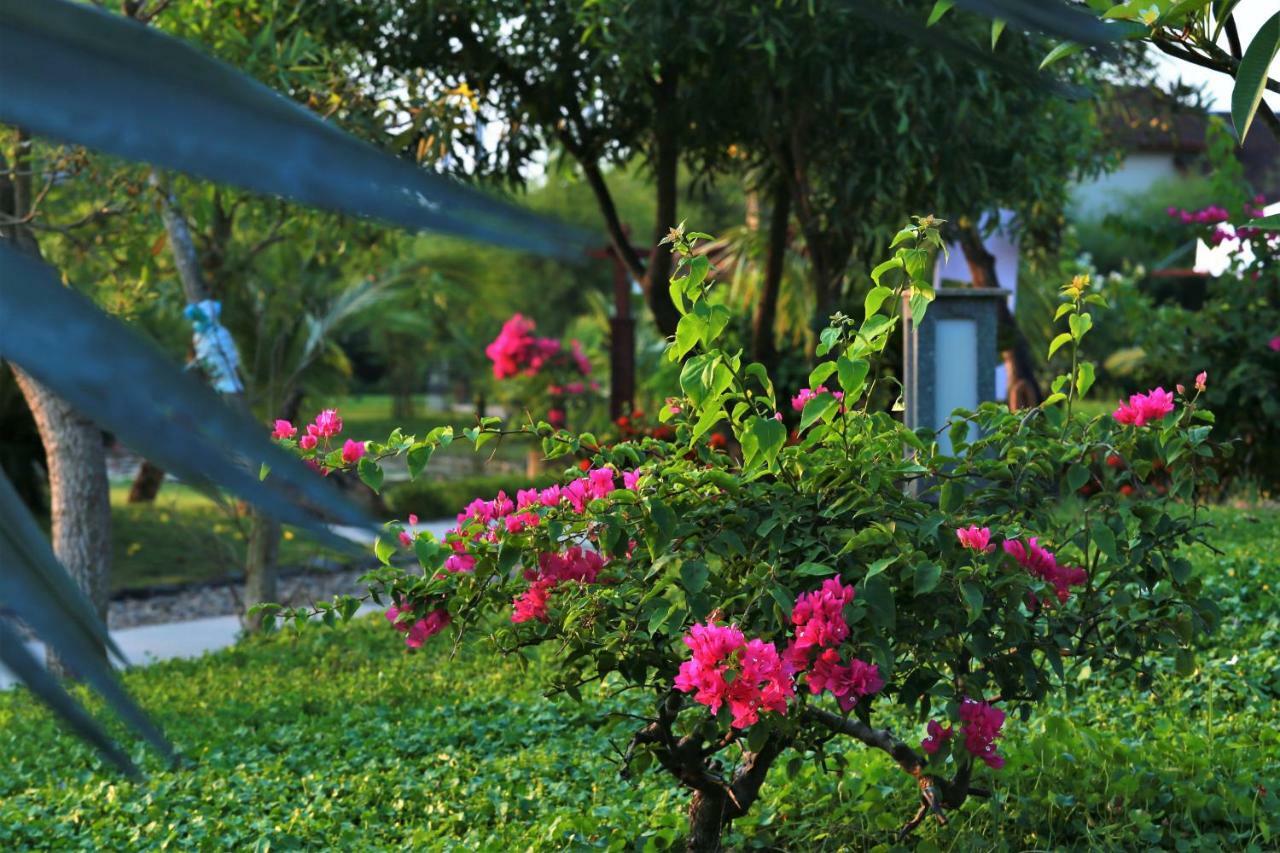 Bao Ninh Beach Resort Dong Hoi Bagian luar foto